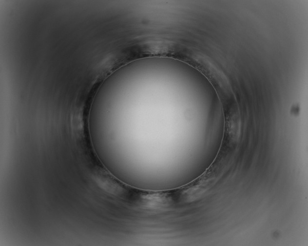 X0000103490516200809121718