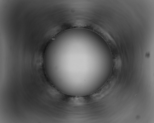 X0000103490517200809121718