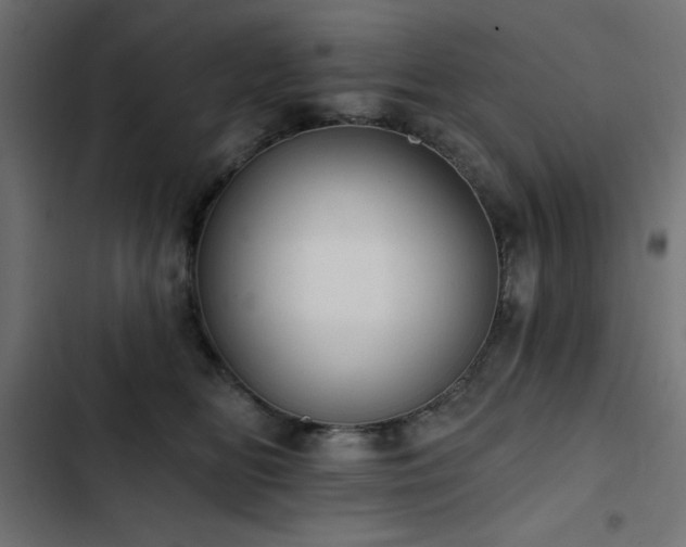 X0000103490518200809121718