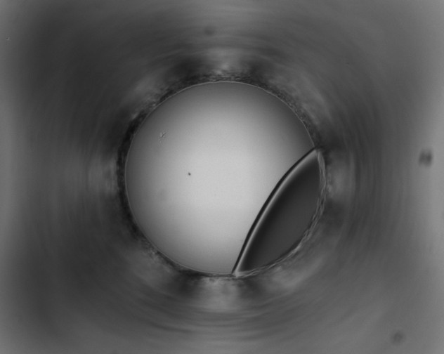 X0000103490520200809121718