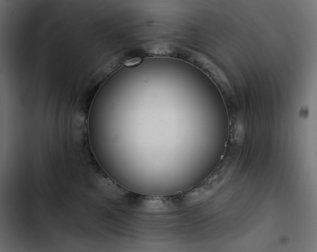 X0000103490521200809121718