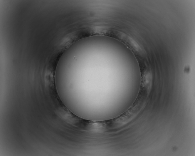 X0000103490522200809121717