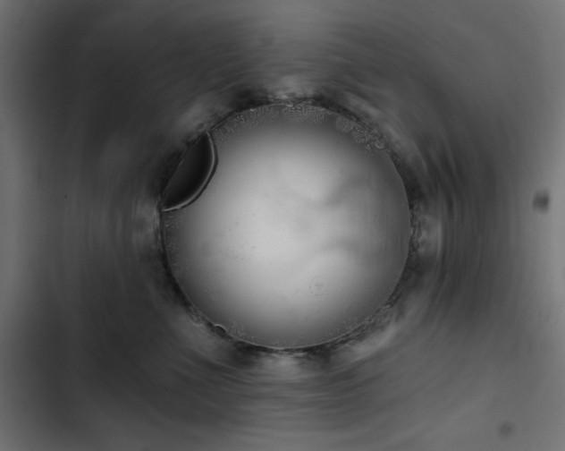 X0000103490523200809121717