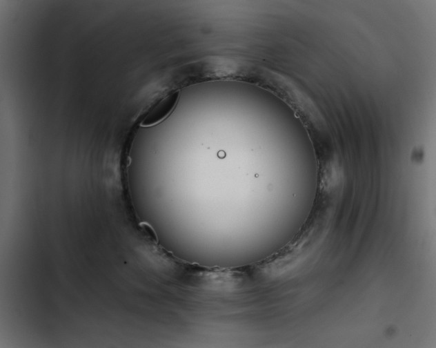 X0000103490524200809121717