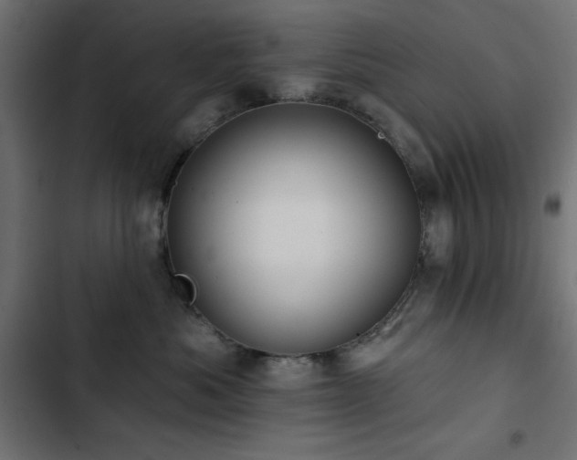 X0000103490525200809121717