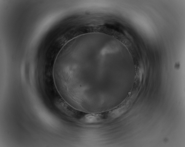 X0000103490526200809121717