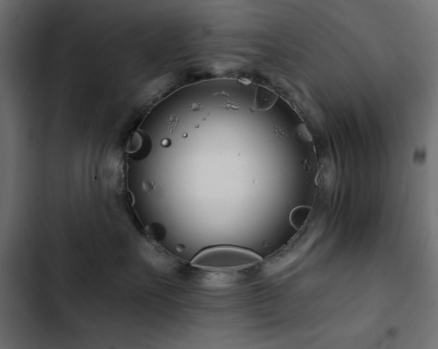 X0000103490527200809121717