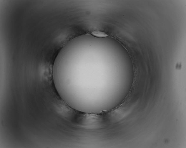 X0000103490528200809121717