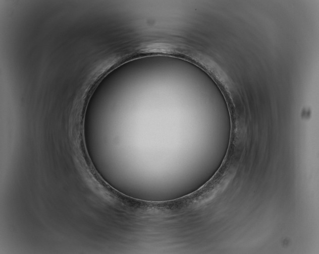 X0000103490529200809121717