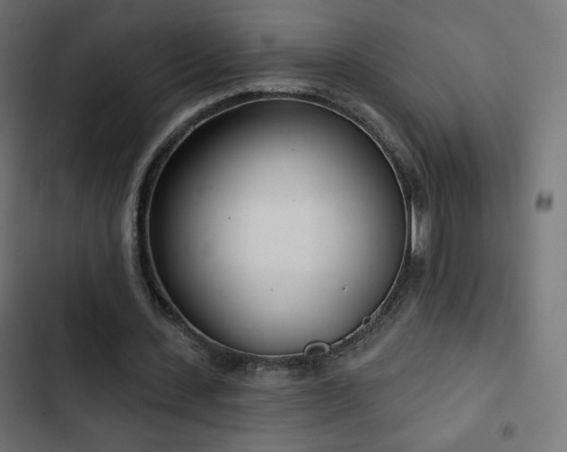 X0000103490531200809121717