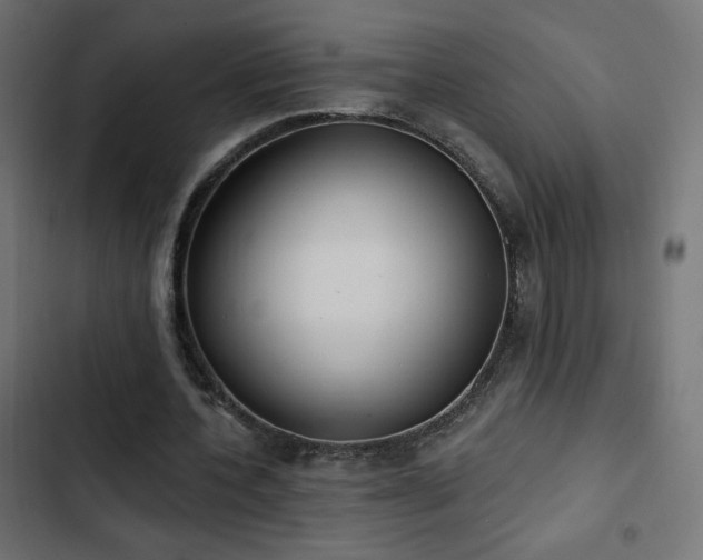 X0000103490532200809121717