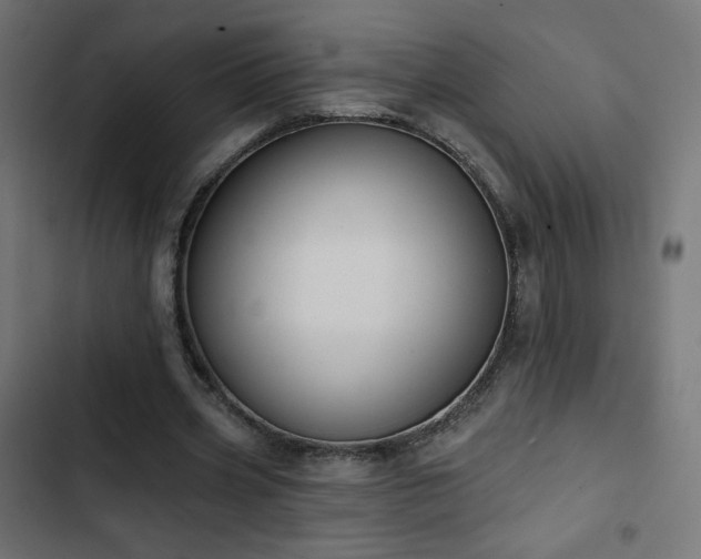 X0000103490533200809121717