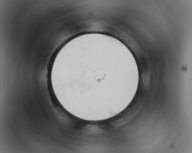 X0000103490534200809121717