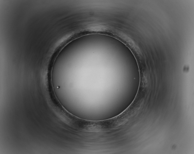 X0000103490535200809121717