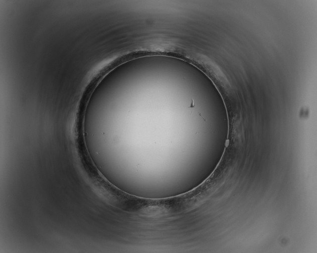 X0000103490536200809121717