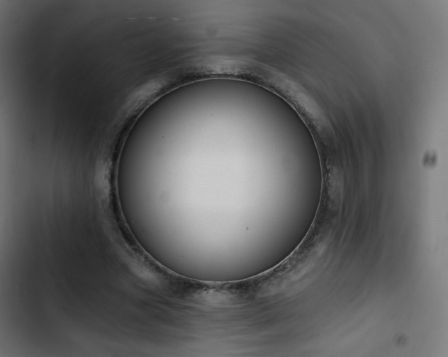 X0000103490537200809121717