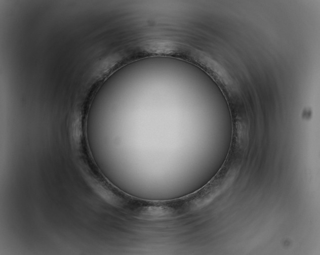 X0000103490541200809121717