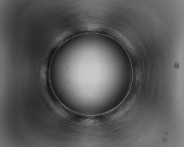 X0000103490542200809121717