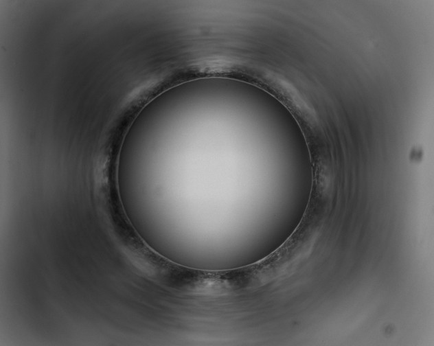 X0000103490543200809121717