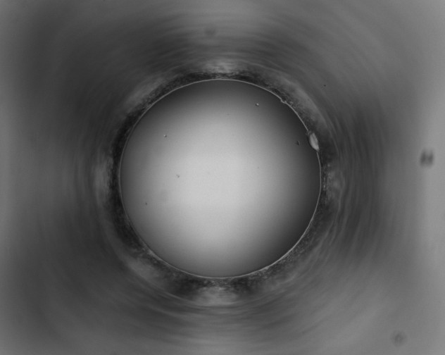 X0000103490544200809121717