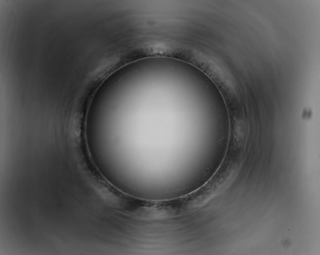 X0000103490545200809121717