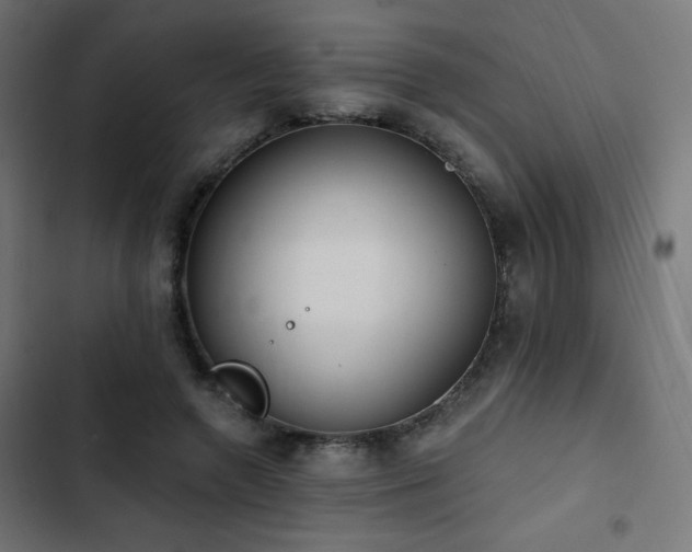 X0000103490546200809121717