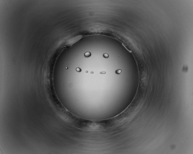 X0000103490547200809121717