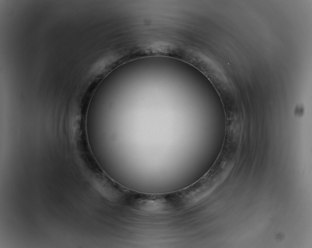 X0000103490548200809121717