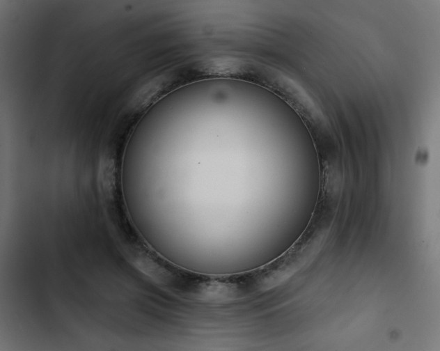 X0000103490549200809121717