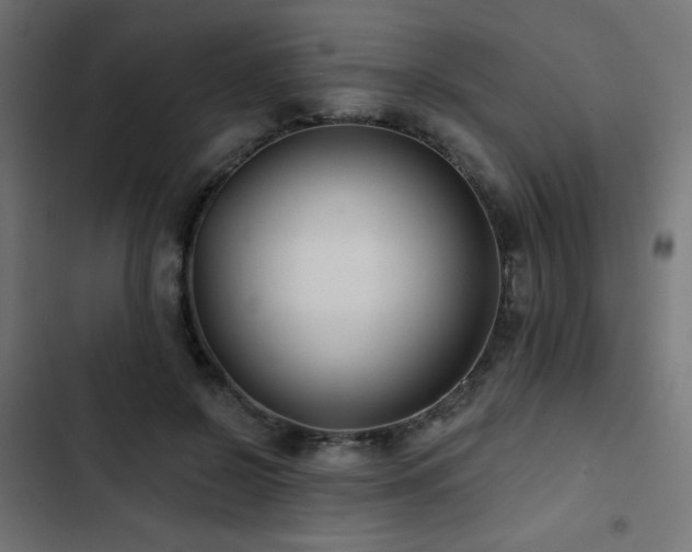 X0000103490550200809121717