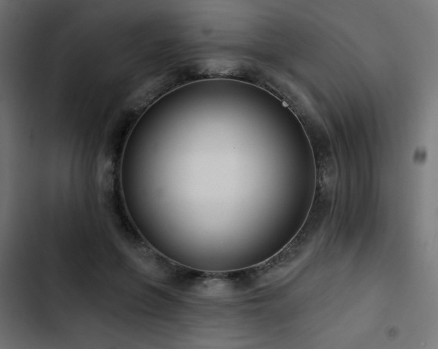 X0000103490551200809121717