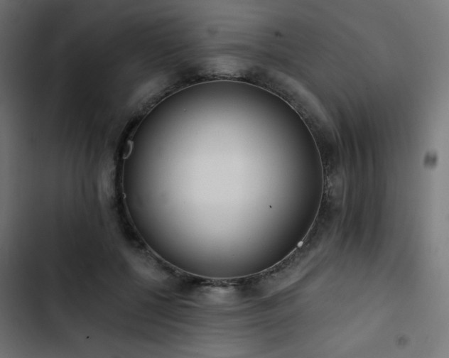 X0000103490552200809121717