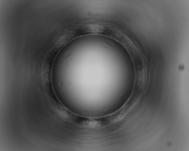 X0000103490553200809121717