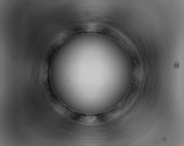 X0000103490554200809121717