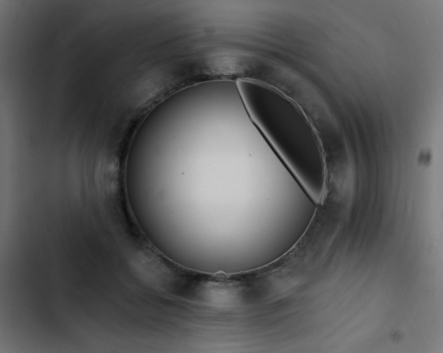 X0000103490556200809121717