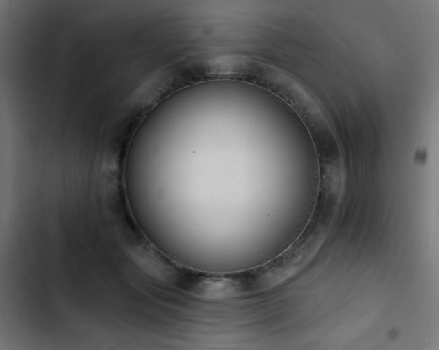 X0000103490557200809121717