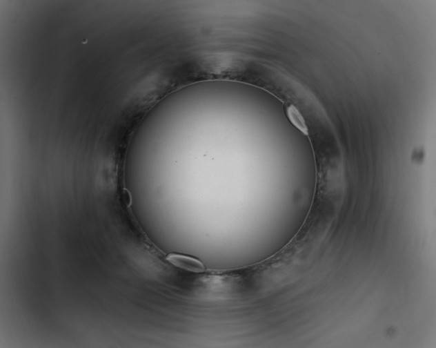 X0000103490558200809121717