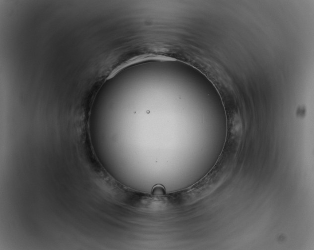 X0000103490559200809121717