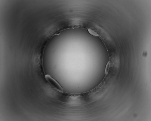 X0000103490560200809121717