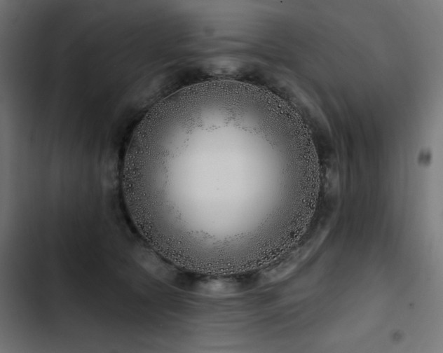 X0000103490561200809121717