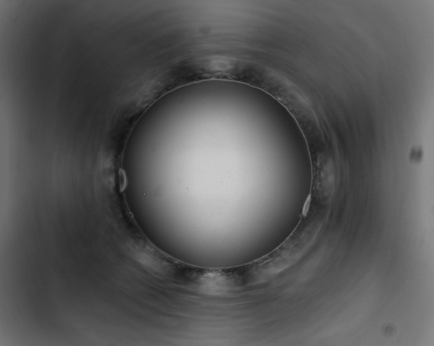 X0000103490562200809121717