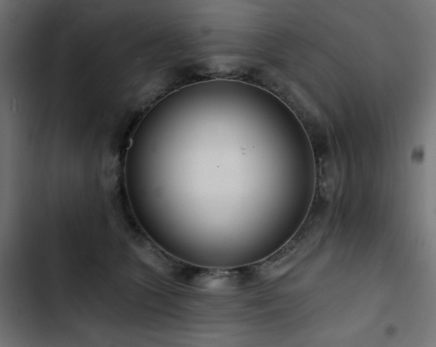 X0000103490563200809121717