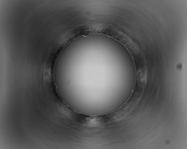 X0000103490564200809121717