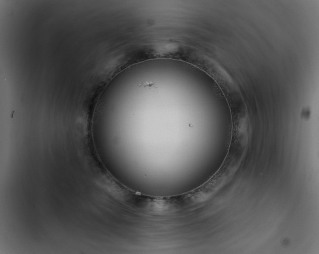 X0000103490565200809121717