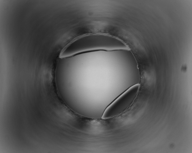 X0000103490566200809121717