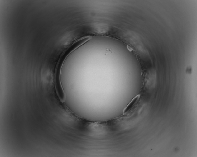 X0000103490568200809121717