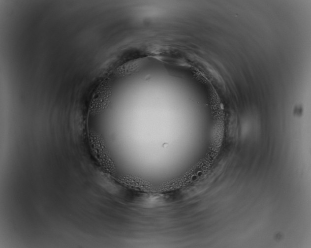 X0000103490569200809121717