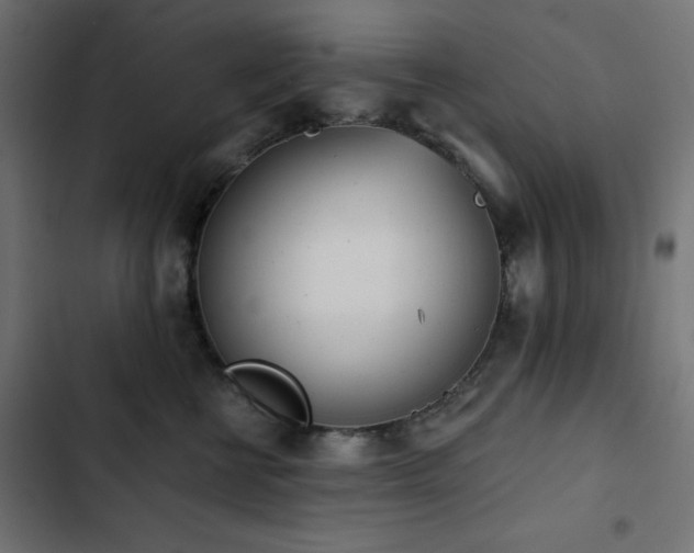 X0000103490570200809121717