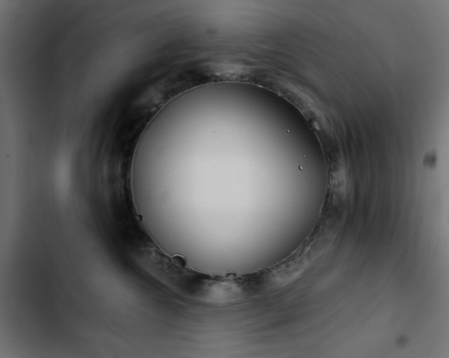 X0000103490572200809121717