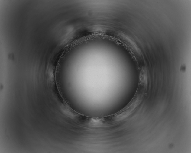 X0000103490573200809121717